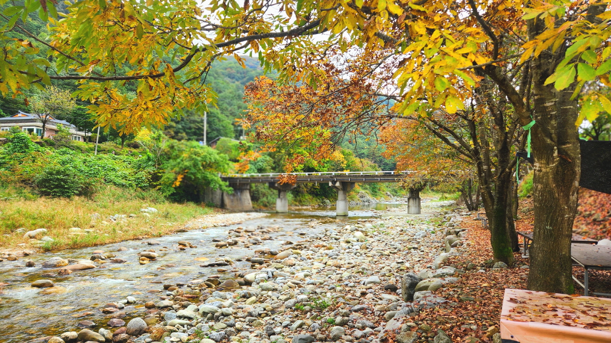 골짜구니캠핑장 장박(10월23일 13시 오픈)