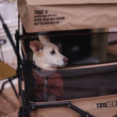 트루버 웨건[캐노피]